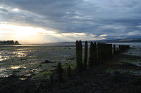 Beauly Firth