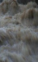 The Gogar Burn